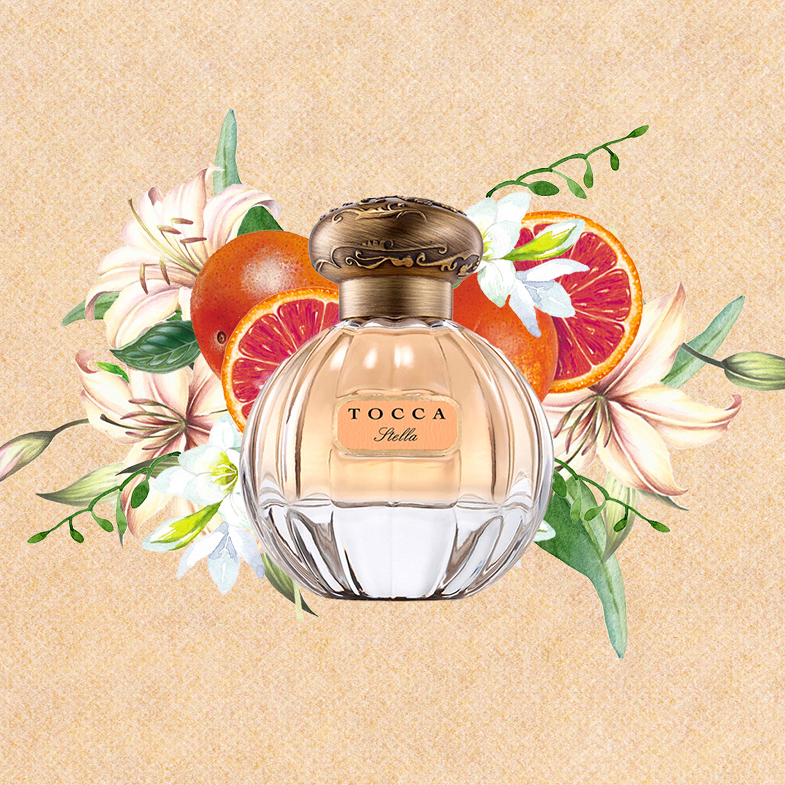 Amazon | トッカ TOCCA ステラ EDP 100ml STELLA | トッカ(TOCCA